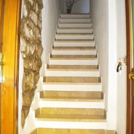 Albus Guest House Guest house