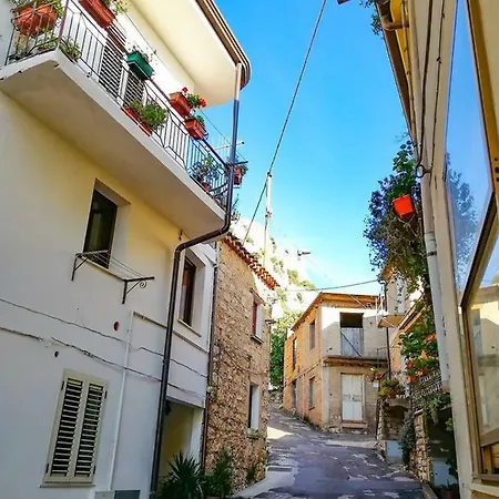 Guest house Albus Guest House *
